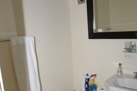 Bathroom cleaning and fixtures